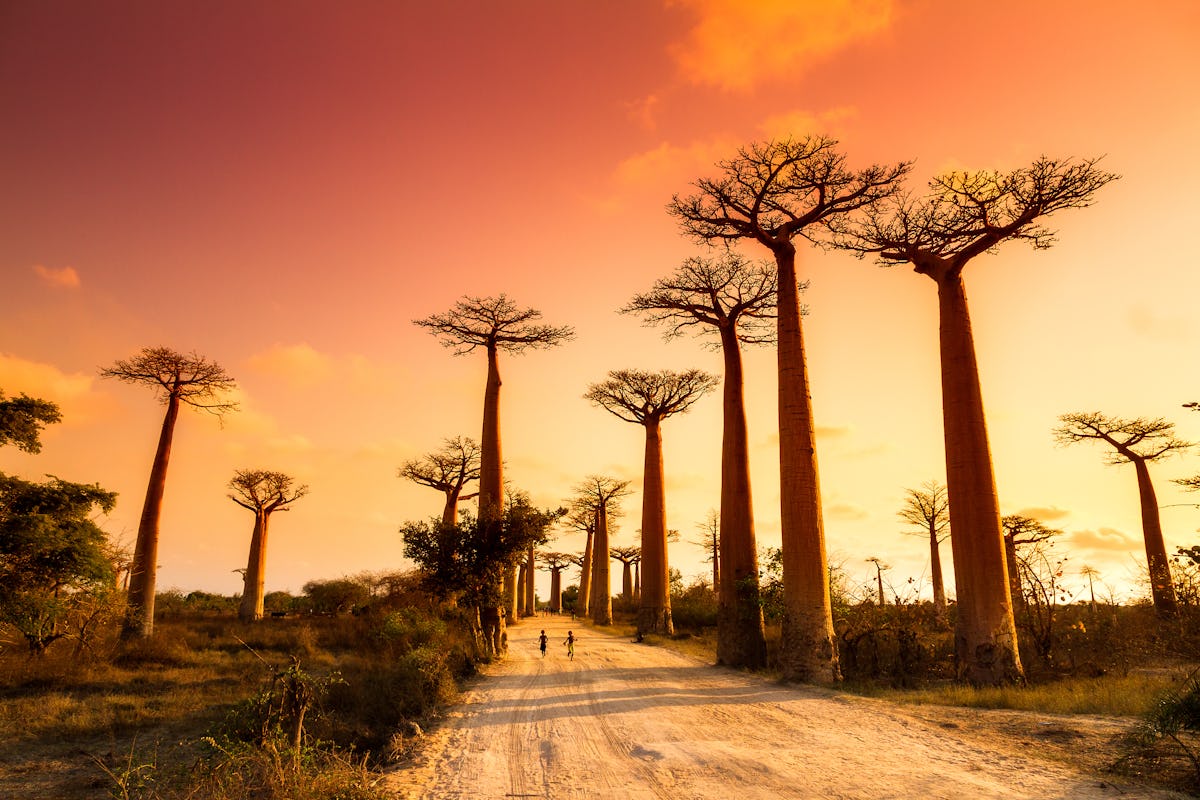Madagascar, where Luxury Meets the Wild